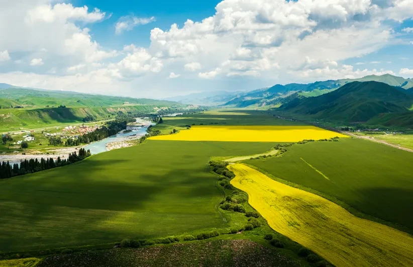 Agricultural & Ecology